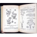 FLORA MICA ILUSTRATA A ROMANIEI