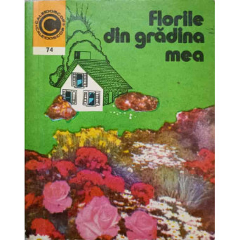 FLORILE DIN GRADINA MEA