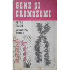 GENE SI CROMOZOMI