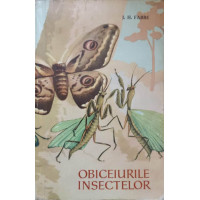 OBICEIURILE INSECTELOR OBICEIURILE INSECTELOR