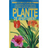 PLANTE DE APARTAMENT