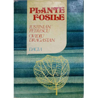 PLANTE FOSILE PLANTE FOSILE