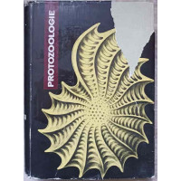 PROTOZOOLOGIE