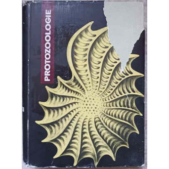 PROTOZOOLOGIE