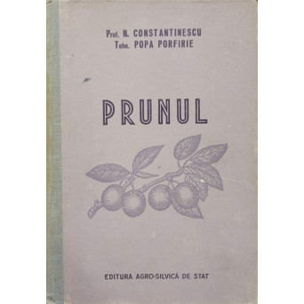 PRUNUL