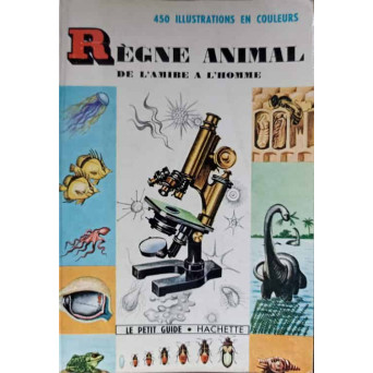 REGNE ANIMAL DE L'AMIBE A L'HOMME