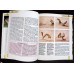 THE ILLUSTRATED ENCYCLOPEDIA OF WILDLIFE