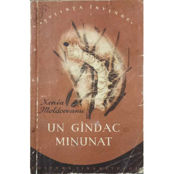 UN GANDAC MINUNAT