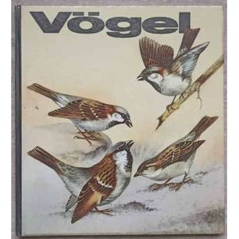 VOGEL