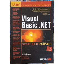 VISUAL BASIC .NET. SFATURI SI TEHNICI