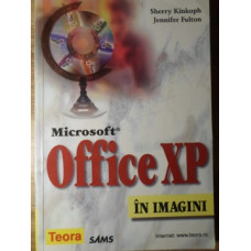 MICROSOFT OFFICE XP IN IMAGINI