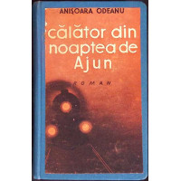 CALATOR DIN NOAPTEA DE AJUN