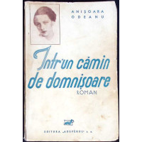 INTR-UN CAMIN DE DOMNISOARE INTR-UN CAMIN DE DOMNISOARE