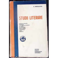STUDII LITERARE