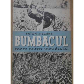 BUMBACUL MARE PUTERE MONDIALA