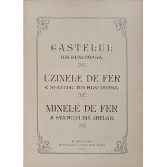 CASTELUL DIN HUNEDOARA, UZINELE DE FER A STATULUI DIN HUNEDOARA, MINELE DE FER A STATULUI DIN GHELAR