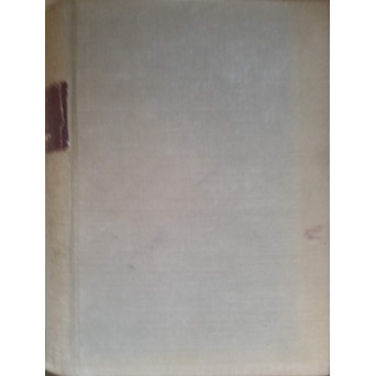NOUVEAU DICTIONNAIRE ROUMAIN-FRANCAIS