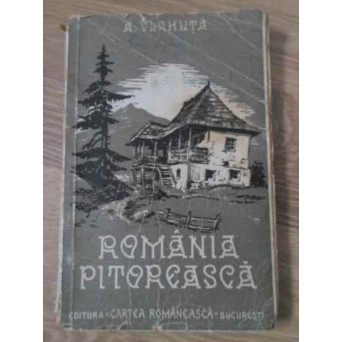 ROMANIA PITOREASCA