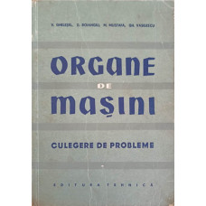 ORGANE DE MASINI