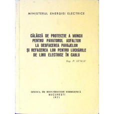 CALAUZA DE PROTECTIE A MUNCII PENTRU PAVATORUL ASFALTOR LA DESFACEREA PAVAJELOR SI REFACEREA LOR PEN
