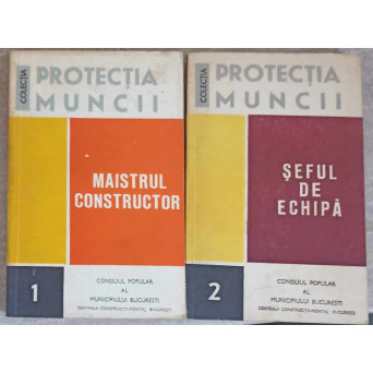 MAISTRUL CONSTRUCTOR. SEFUL DE ECHIPA VOL.1-2