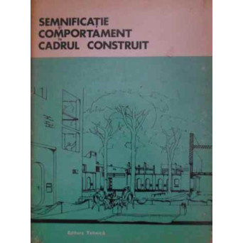 SEMNIFICATIE SI COMPORTAMENT IN CADRUL CONSTRUIT
