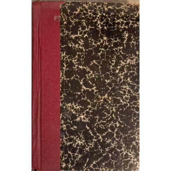 ROMANUL FRANCEZ