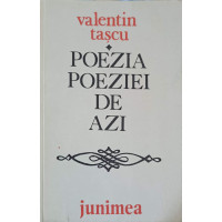 POEZIA POEZIEI DE AZI POEZIA POEZIEI DE AZI