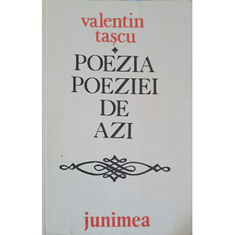 POEZIA POEZIEI DE AZI
