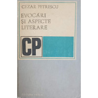 EVOCARI SI ASPECTE LITERARE