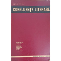 CONFLUENTE LITERARE CONFLUENTE LITERARE