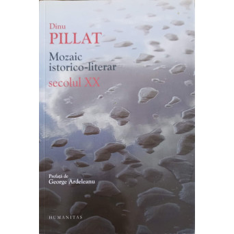 MOZAIC ISTORICO-LITERAR. SECOLUL XX