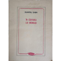 IN CAUTAREA LUI BRANCUSI