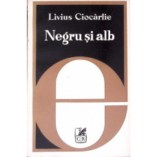 NEGRU SI ALB. DE LA SIMBOLUL ROMANTIC LA TEXTUL MODERN
