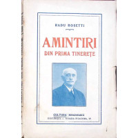 AMINTIRI DIN PRIMA TINERETE AMINTIRI DIN PRIMA TINERETE