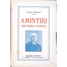 AMINTIRI DIN PRIMA TINERETE