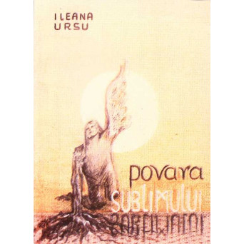 POVARA SUBLIMULUI. MONOGRAFIE MIHAI MOLDOVAN