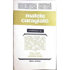 MATEIU CARAGIALE INTERPRETAT