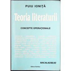 TEORIA LITERATURII. CONCEPE OPERATIONALA