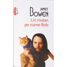 UN MOTAN PE NUME BOB