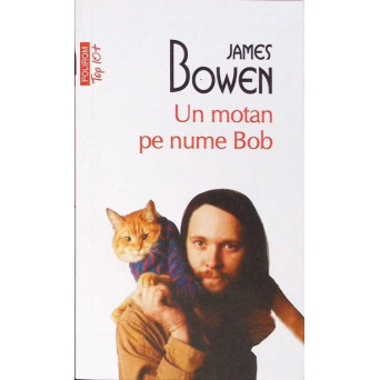 UN MOTAN PE NUME BOB UN MOTAN PE NUME BOB