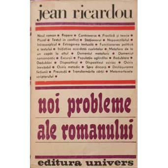 NOI PROBLEME ALE ROMANULUI