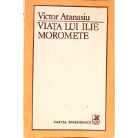 VIATA LUI ILIE MOROMETE