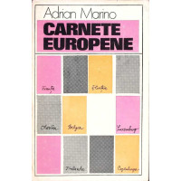 CARNETE EUROPENE. INSEMNARE A CALATORIEI MELE FACUTA IN ANII 1969-1975 CARNETE EUROPENE. INSEMNARE A CALATORIEI MELE FACUTA IN ANII 1969-1975