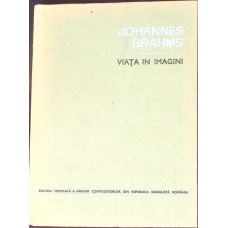 JOHANNES BRAHMS VIATA IN IMAGINI