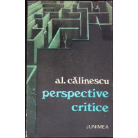 PERSPECTIVE CRITICE