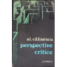 PERSPECTIVE CRITICE