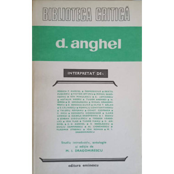 D. ANGHEL INTERPRETAT