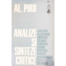 ANALIZE SI SINTEZE CRITICE ANALIZE SI SINTEZE CRITICE