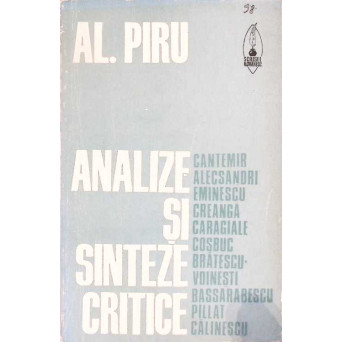 ANALIZE SI SINTEZE CRITICE